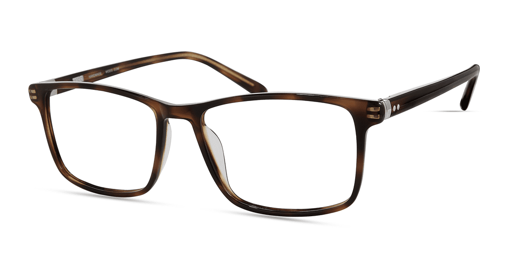 Modo 6533 Havana Eyewear