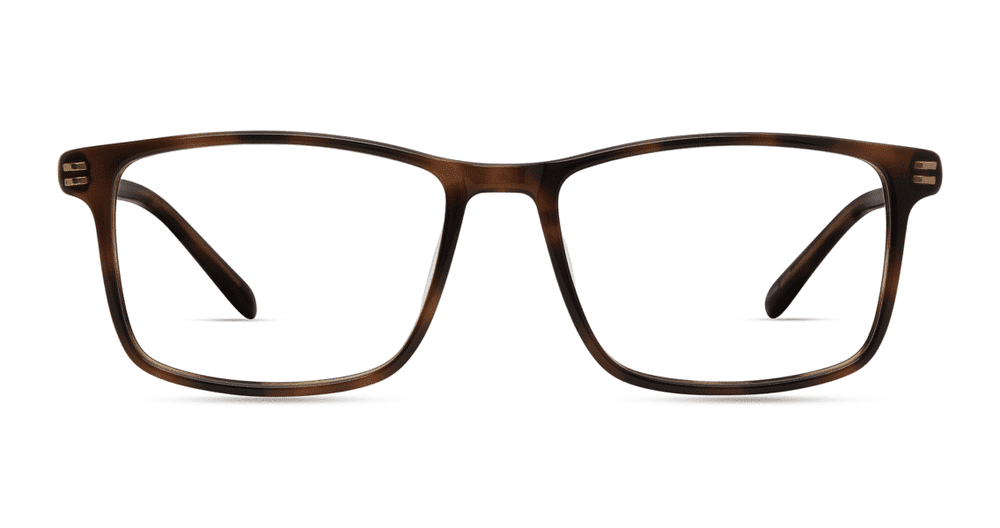 Modo 6533 Havana Eyewear for Men