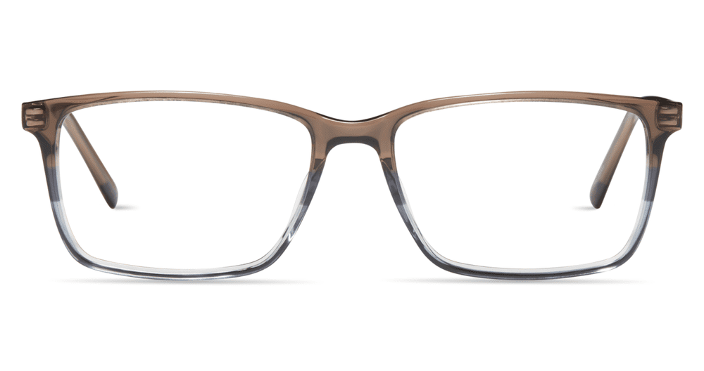 Modo 6537 Brown to Grey Eyewear for Men