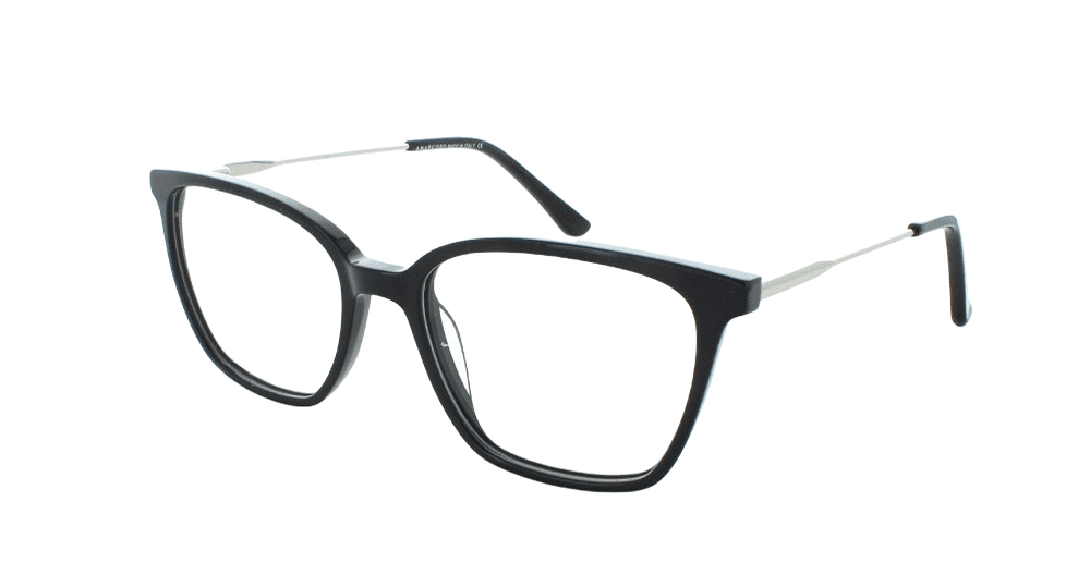 Tribeca RIVER Black/Silver Eyeglass