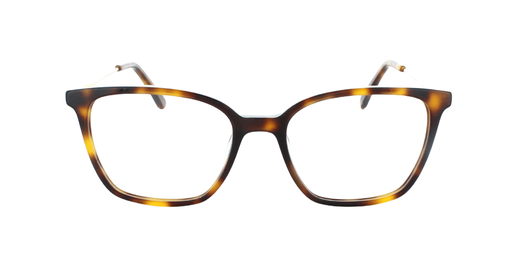 Tribeca RIVER Demi Brown/Gold Eyeglass for Women