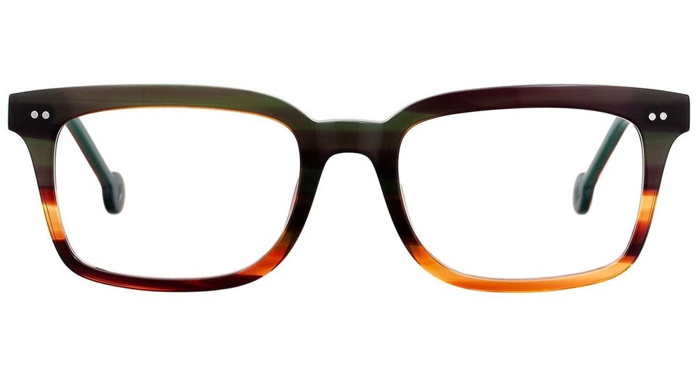 L.A. Eyeworks BUCKEYE  tiki tortoise Eyeglasses